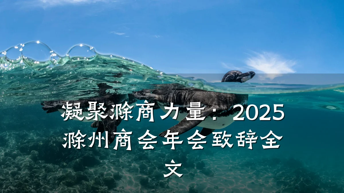 凝聚滁商力量：2025滁州商会年会致辞全文