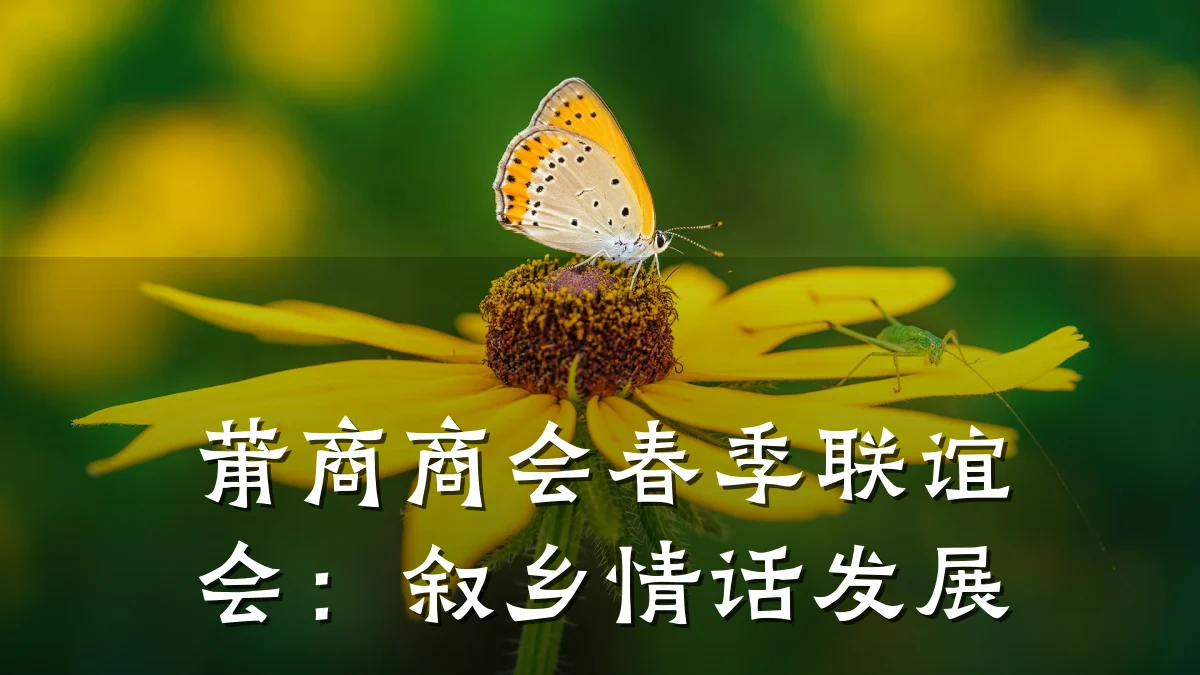 莆商商会春季联谊会:叙乡情话发展