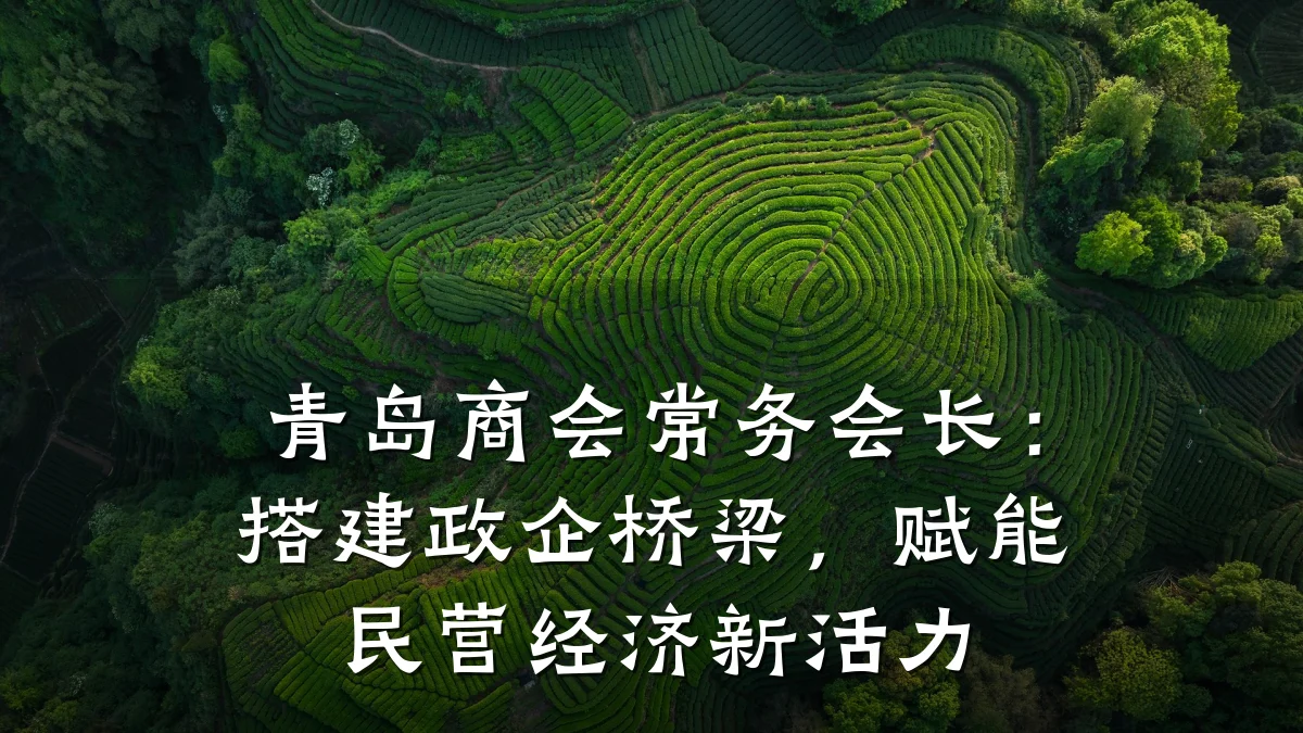 青岛商会常务会长：搭建政企桥梁，赋能民营经济新活力