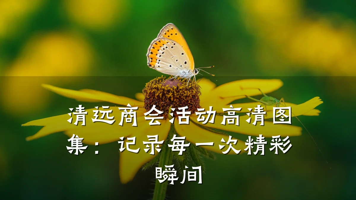 清远商会活动高清图集:记录每一次精彩瞬间