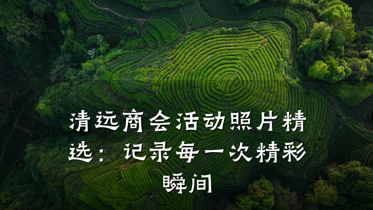 清远商会活动照片精选：记录每一次精彩瞬间