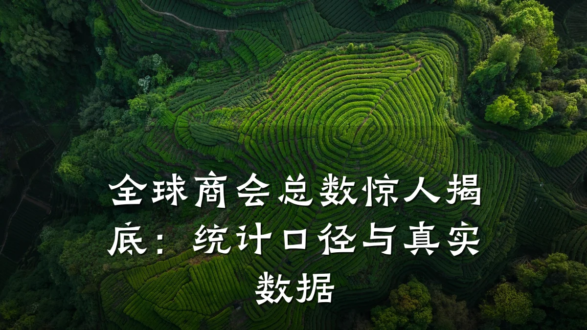 全球商会总数惊人揭底:统计口径与真实数据