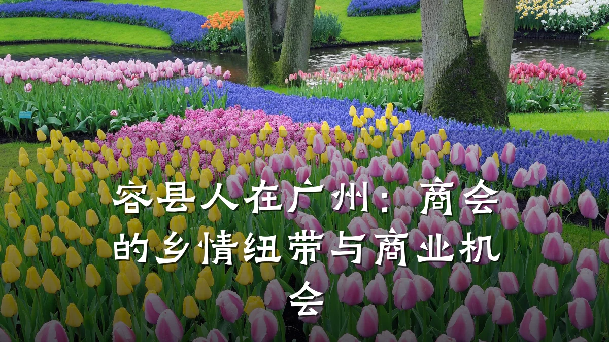 容县人在广州:商会的乡情纽带与商业机会