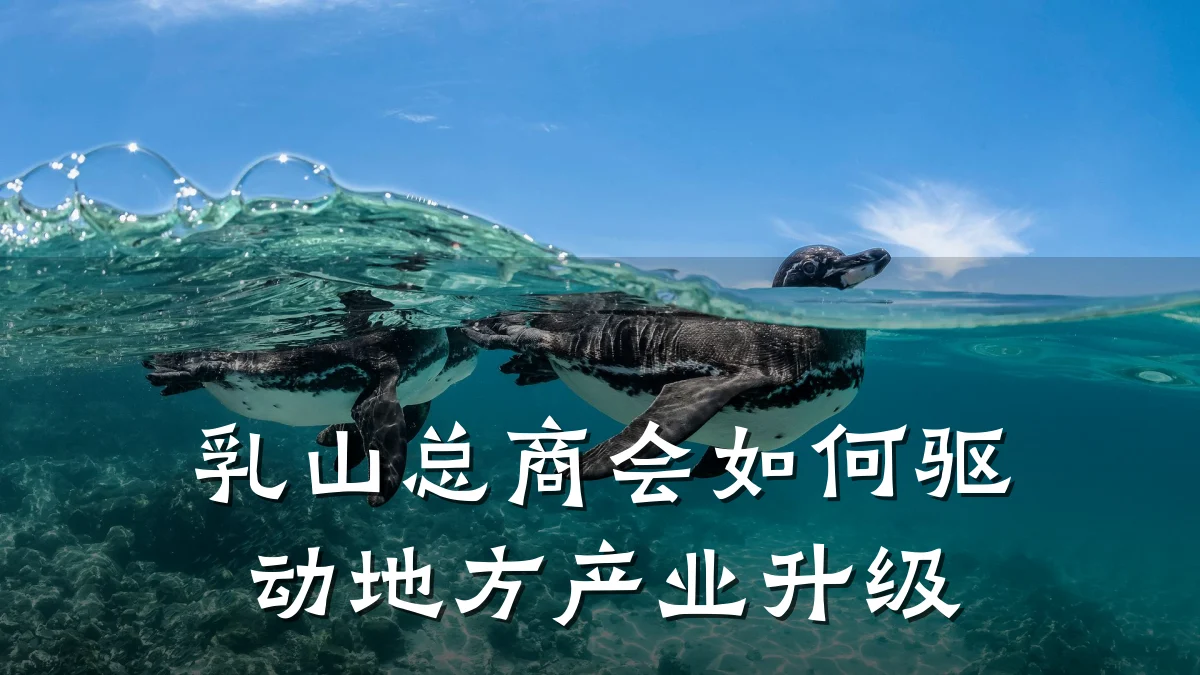 乳山总商会如何驱动地方产业升级
