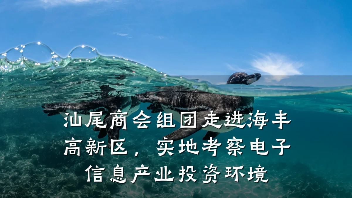 汕尾商会组团走进海丰高新区，实地考察电子信息产业投资环境