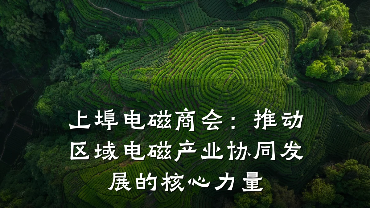 上埠电磁商会：推动区域电磁产业协同发展的核心力量