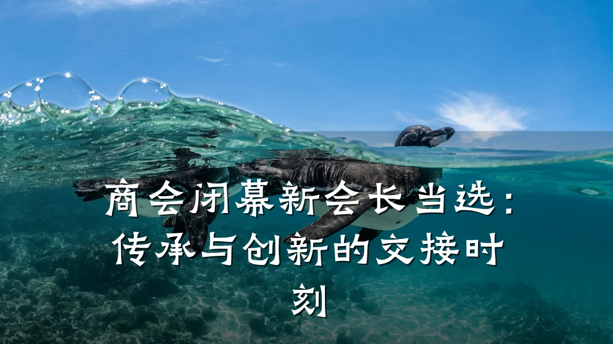商会闭幕新会长当选:传承与创新的交接时刻
