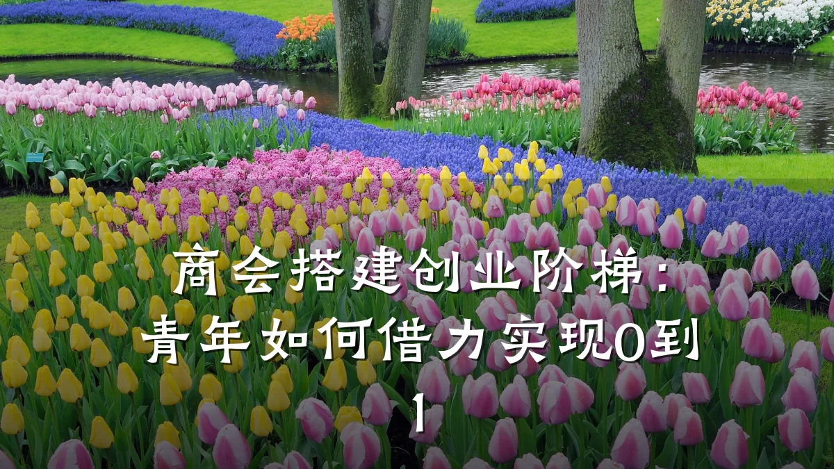 商会搭建创业阶梯:青年如何借力实现0到1