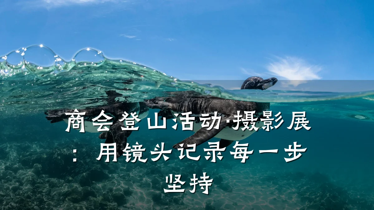 商会登山活动·摄影展:用镜头记录每一步坚持
