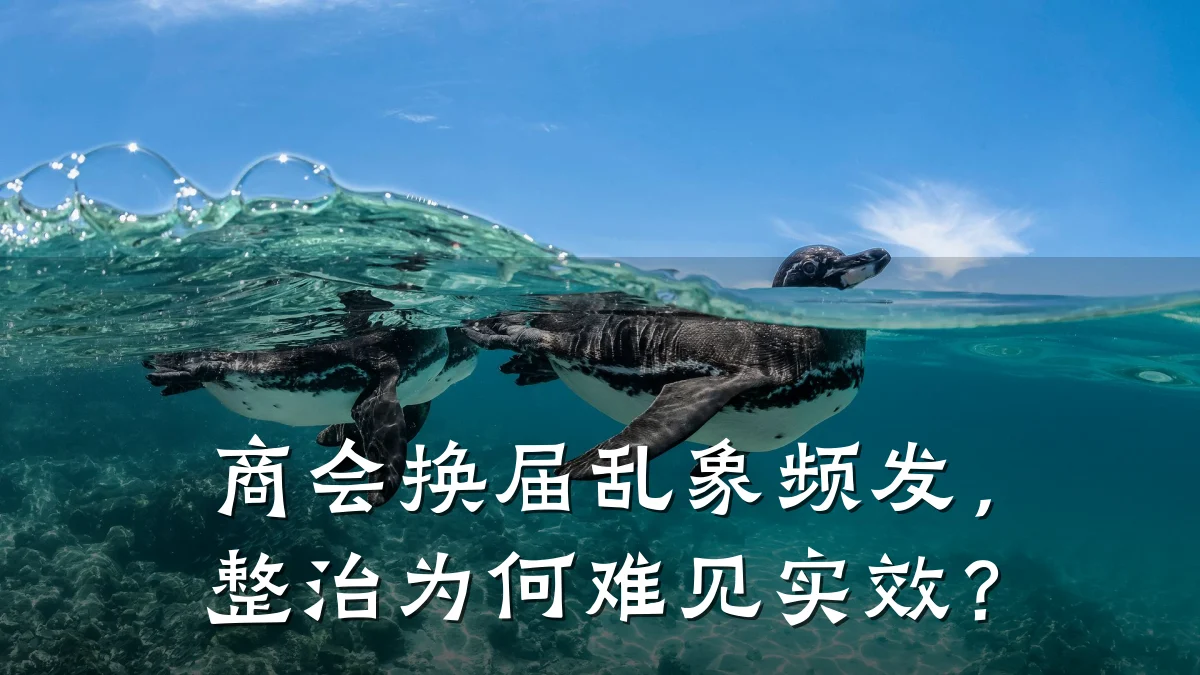 商会换届乱象频发,整治为何难见实效?