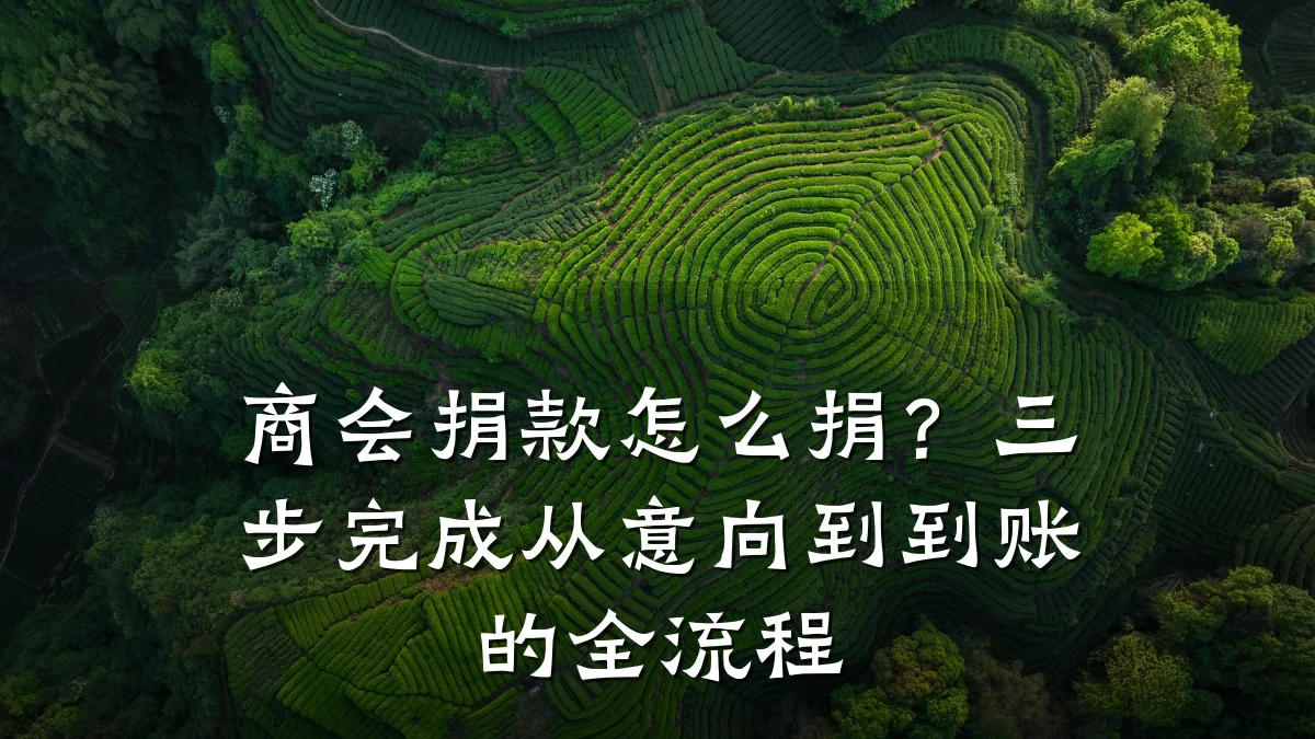商会捐款怎么捐？三步完成从意向到到账的全流程