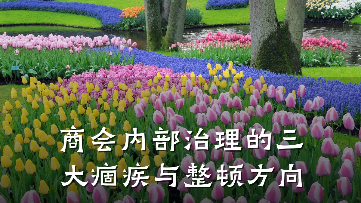 商会内部治理的三大痼疾与整顿方向