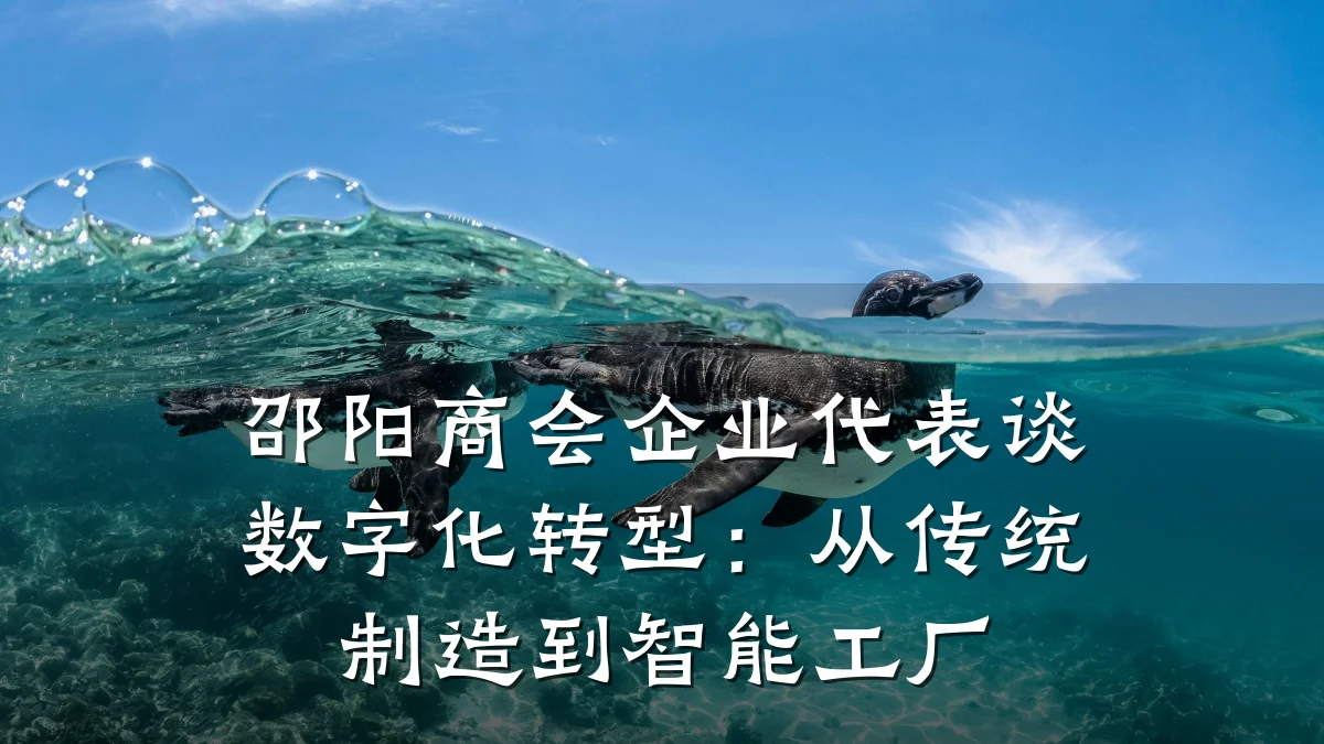 邵阳商会企业代表谈数字化转型：从传统制造到智能工厂