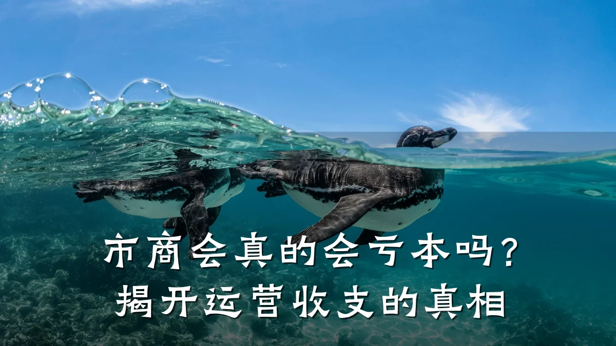 市商会真的会亏本吗?揭开运营收支的真相