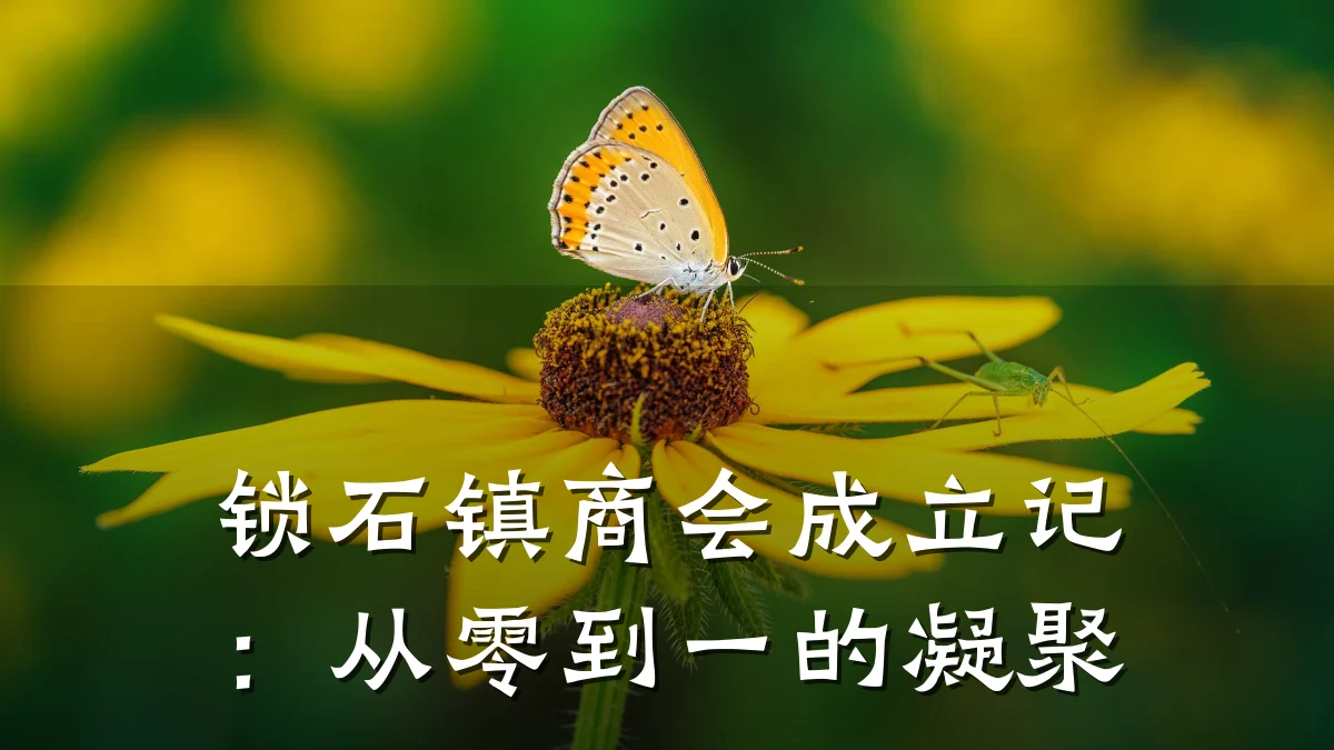 锁石镇商会成立记：从零到一的凝聚