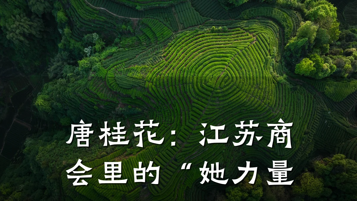 唐桂花:江苏商会里的“她力量