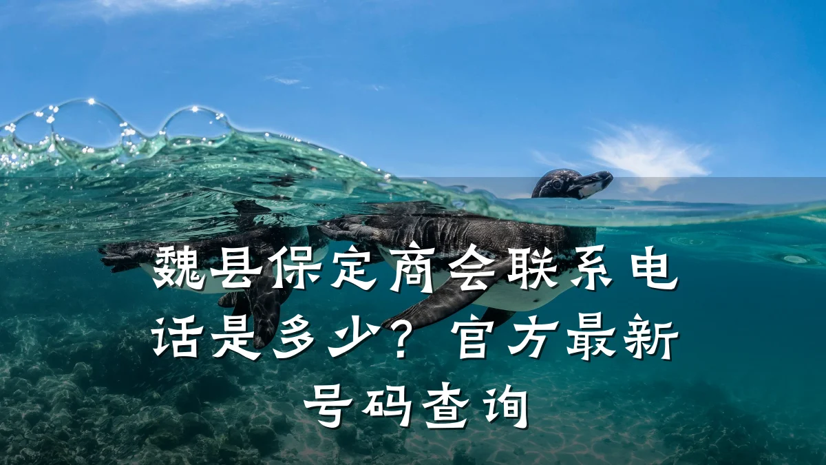 魏县保定商会联系电话是多少?官方最新号码查询