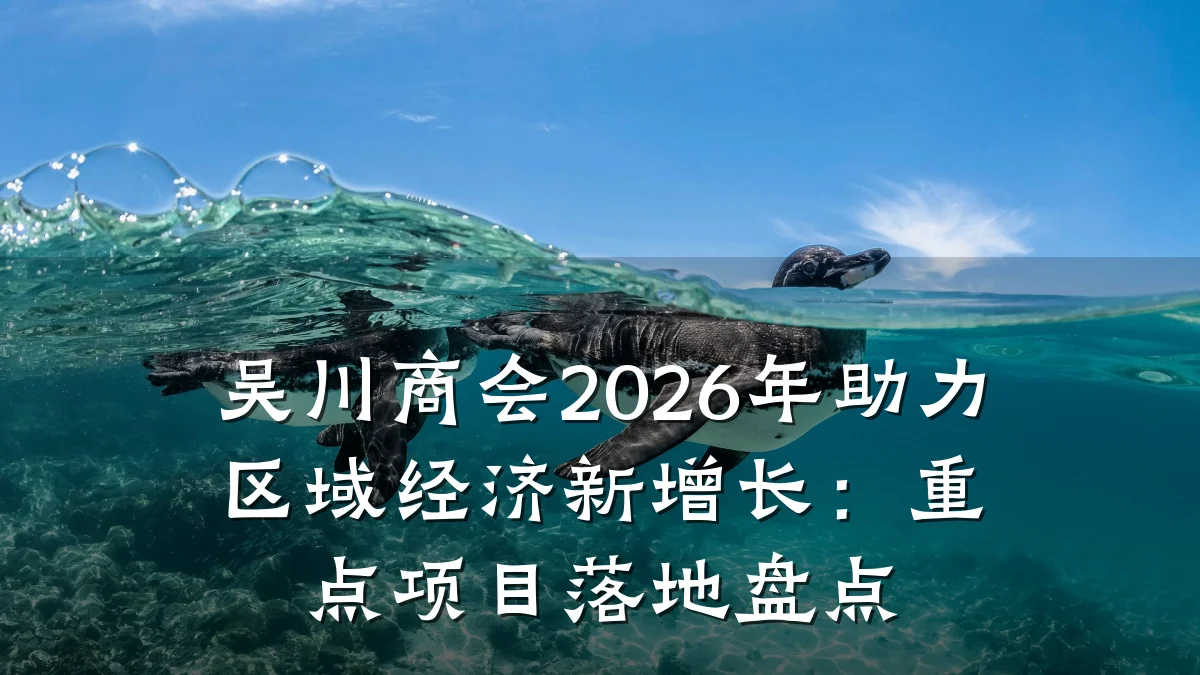 吴川商会2026年助力区域经济新增长:重点项目落地盘点