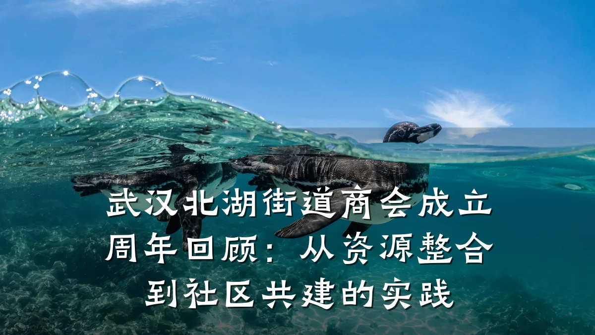 武汉北湖街道商会成立周年回顾：从资源整合到社区共建的实践