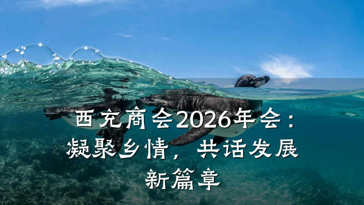 西充商会2026年会:凝聚乡情,共话发展新篇章