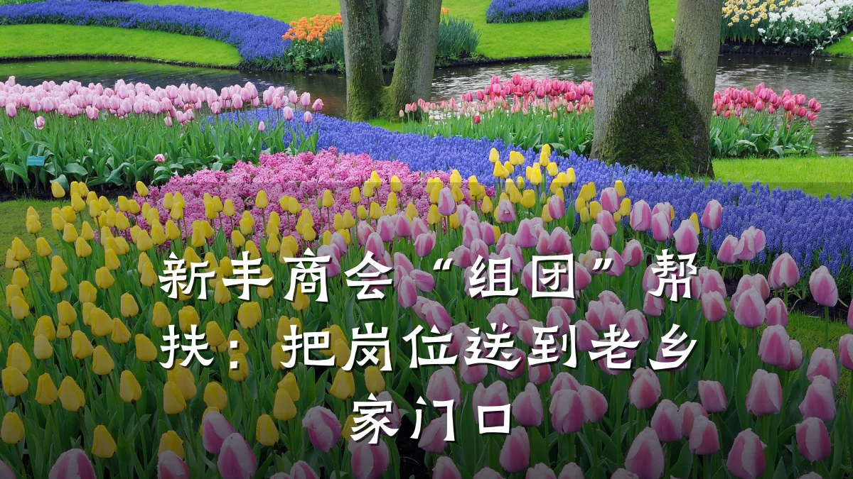 新丰商会“组团”帮扶:把岗位送到老乡家门口