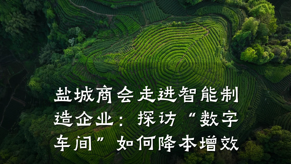盐城商会走进智能制造企业：探访“数字车间”如何降本增效