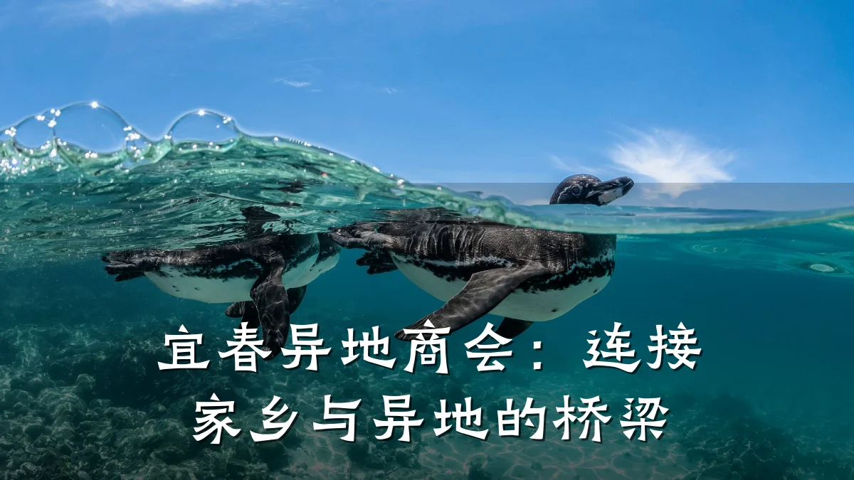 宜春异地商会:连接家乡与异地的桥梁