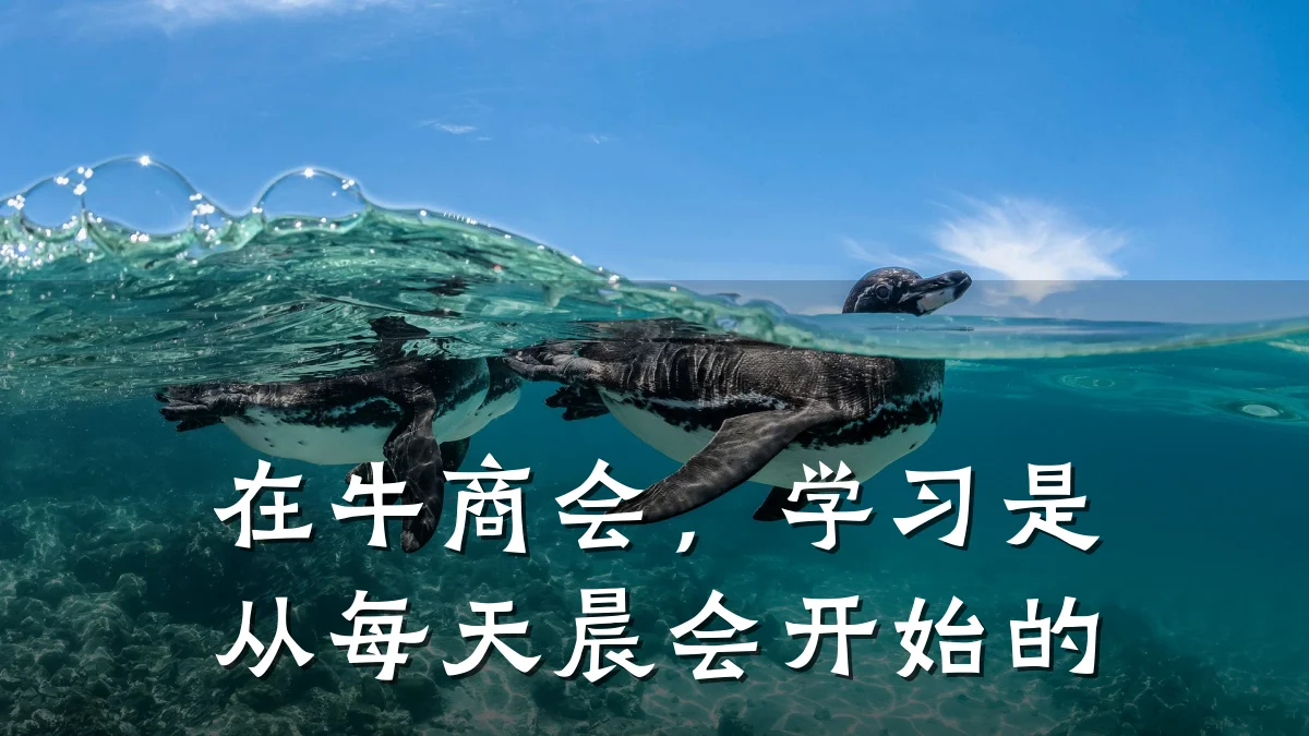 在牛商会,学习是从每天晨会开始的