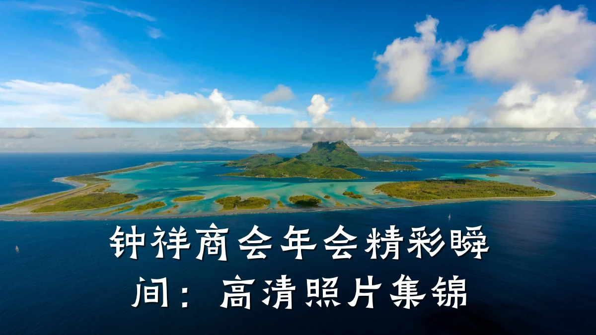 钟祥商会年会精彩瞬间:高清照片集锦