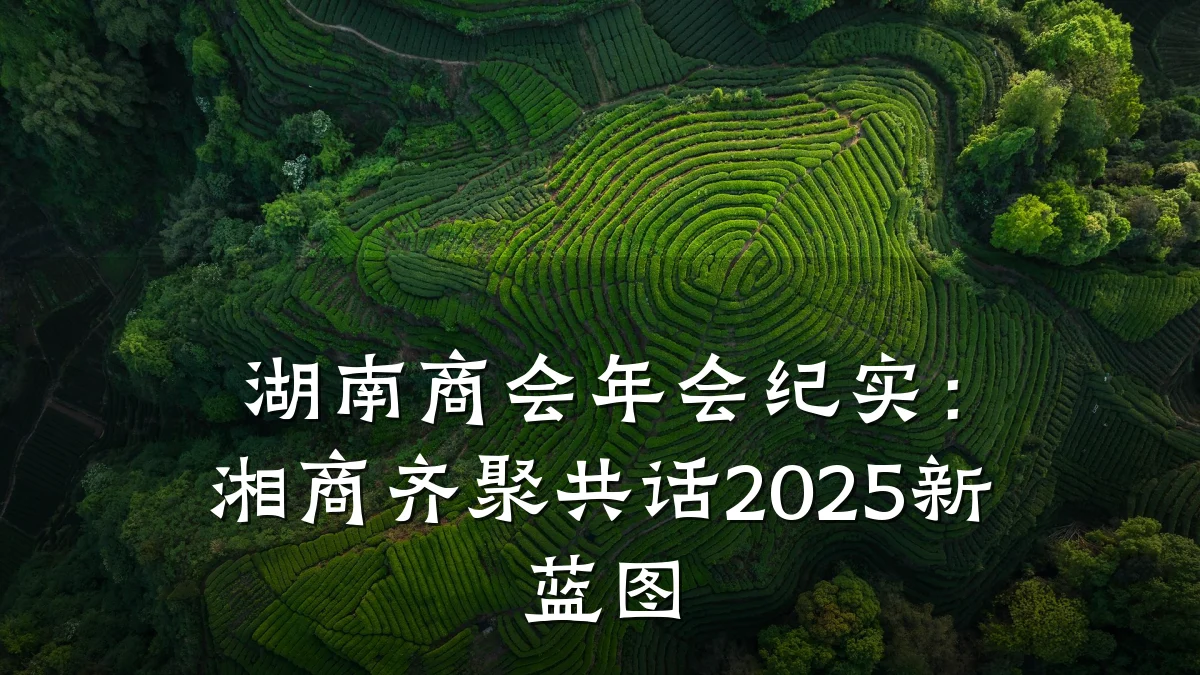 湖南商会年会纪实:湘商齐聚共话2025新蓝图