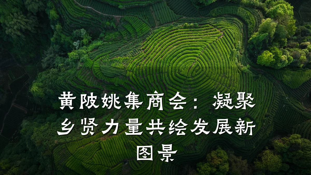 黄陂姚集商会:凝聚乡贤力量共绘发展新图景