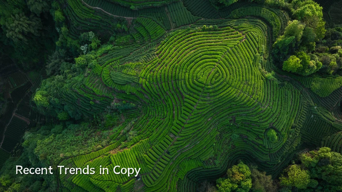 Recent Trends in Copy