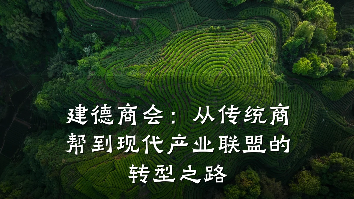 建德商会:从传统商帮到现代产业联盟的转型之路
