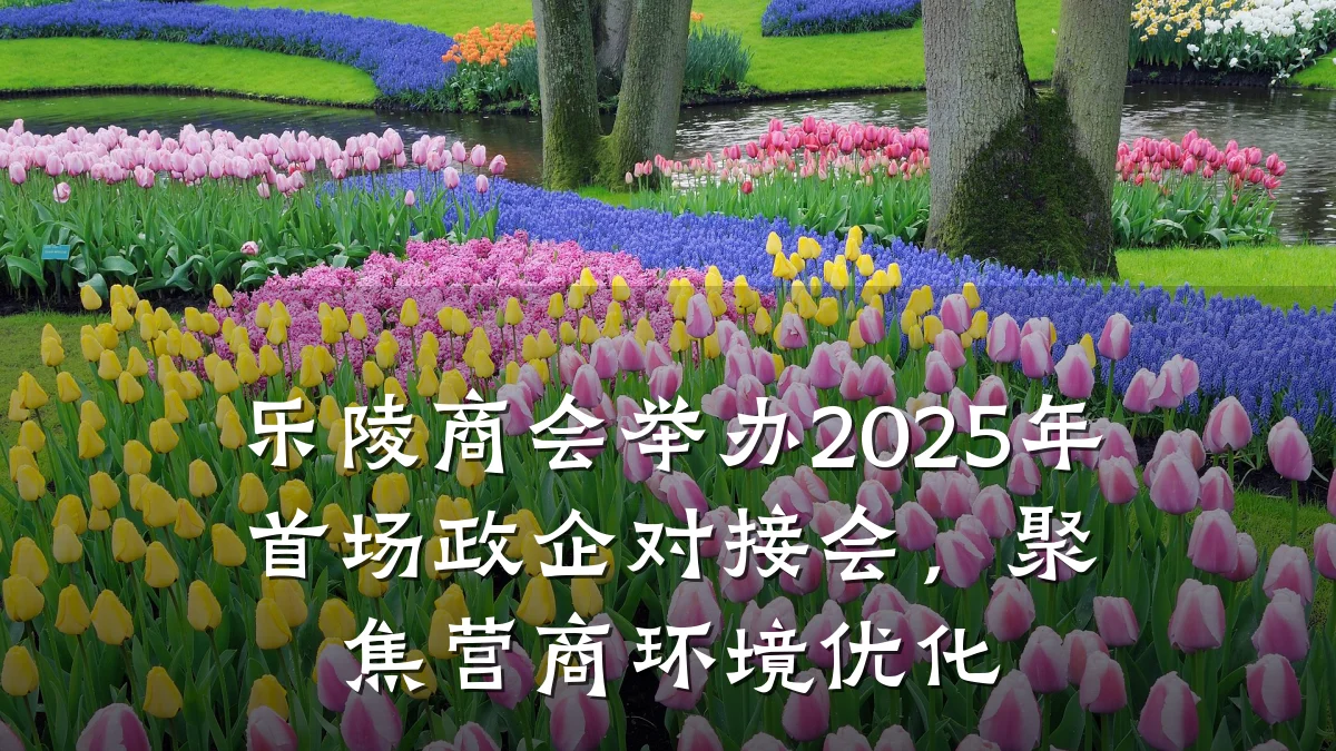 乐陵商会举办2025年首场政企对接会,聚焦营商环境优化