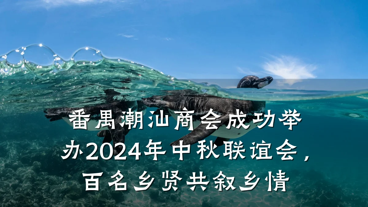 番禺潮汕商会成功举办2024年中秋联谊会，百名乡贤共叙乡情