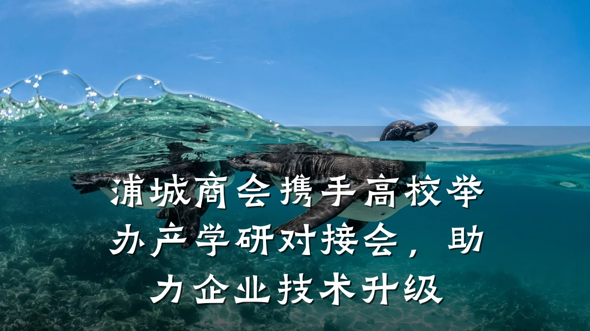 浦城商会携手高校举办产学研对接会,助力企业技术升级