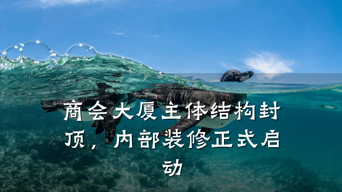 商会大厦主体结构封顶,内部装修正式启动