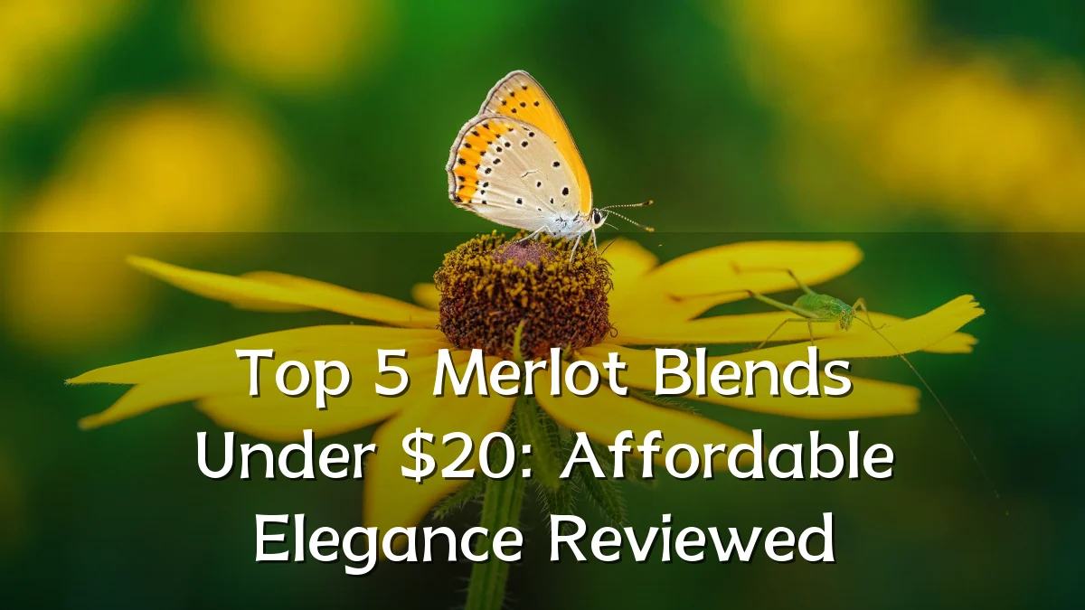 Top 5 Merlot Blends Under $20: Affordable Elegance Reviewed