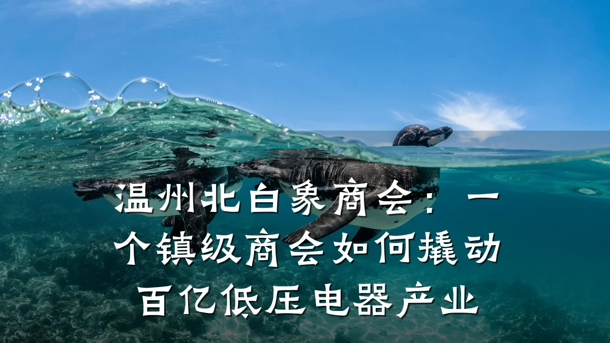 温州北白象商会:一个镇级商会如何撬动百亿低压电器产业