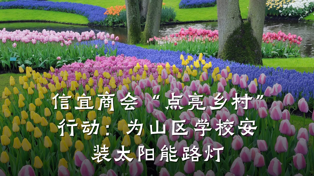 信宜商会“点亮乡村”行动：为山区学校安装太阳能路灯