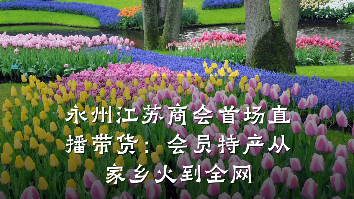 永州江苏商会首场直播带货：会员特产从家乡火到全网