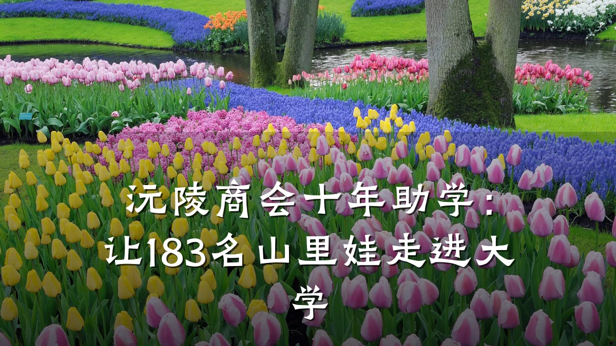 沅陵商会十年助学:让183名山里娃走进大学