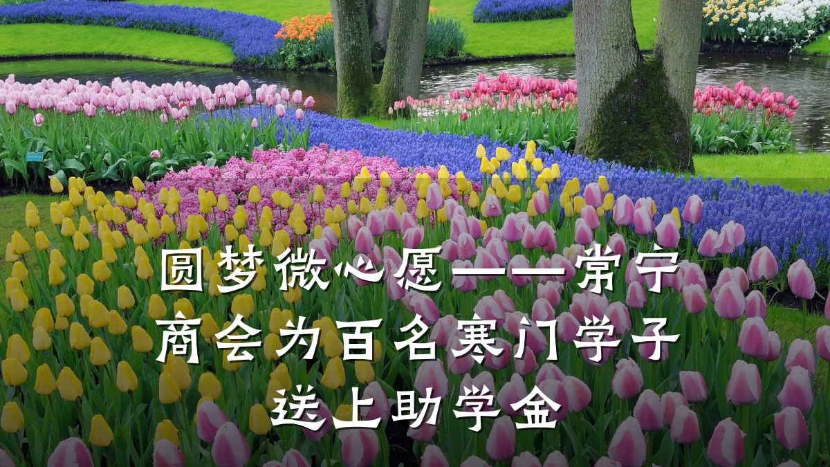 圆梦微心愿——常宁商会为百名寒门学子送上助学金