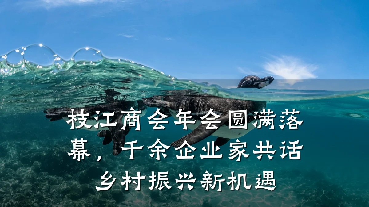 枝江商会年会圆满落幕,千余企业家共话乡村振兴新机遇