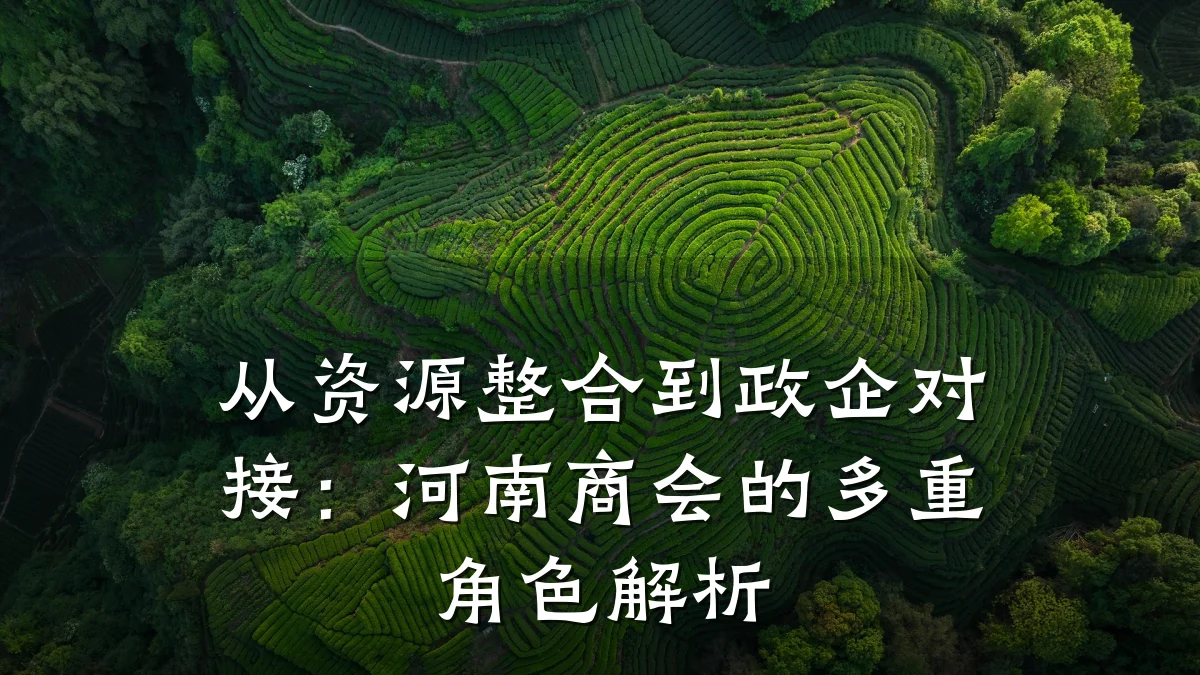 从资源整合到政企对接:河南商会的多重角色解析