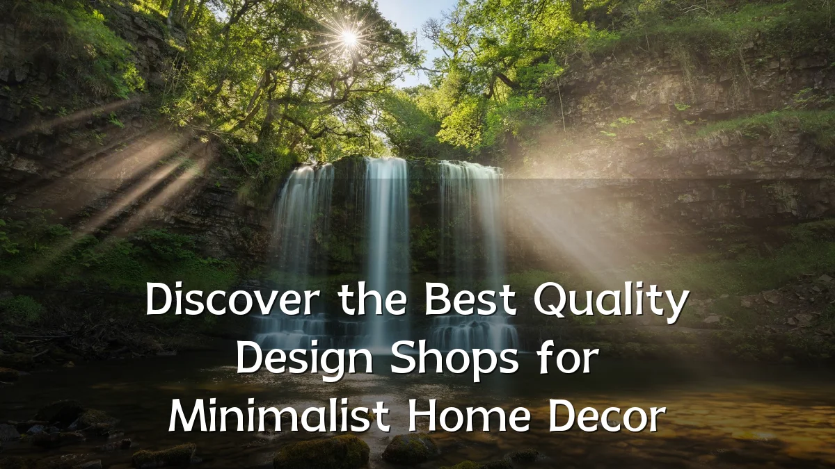 Discover the Best Quality Design Shops for Minimalist Home Decor