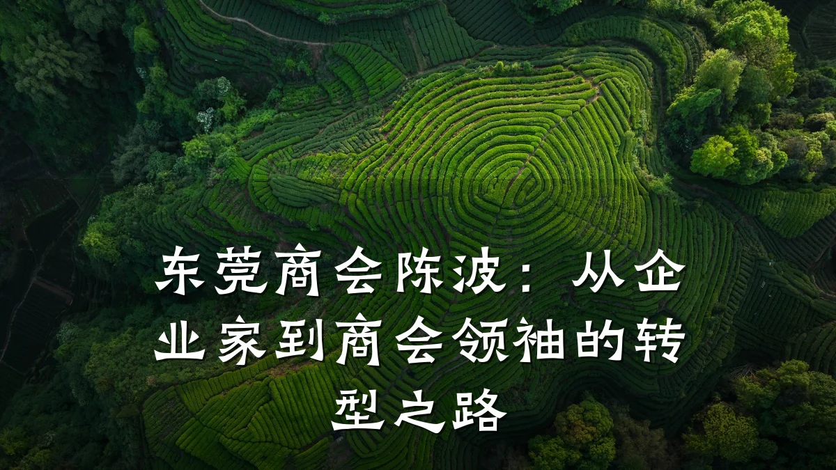 东莞商会陈波：从企业家到商会领袖的转型之路
