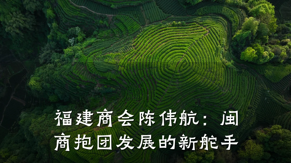 福建商会陈伟航：闽商抱团发展的新舵手