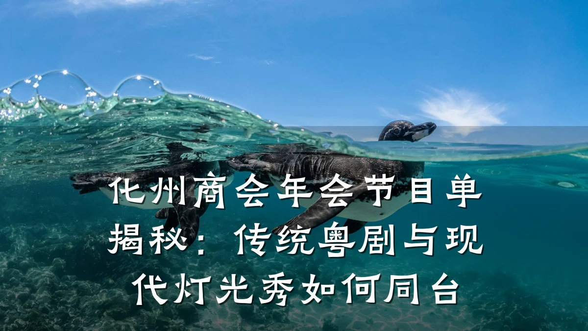 化州商会年会节目单揭秘:传统粤剧与现代灯光秀如何同台