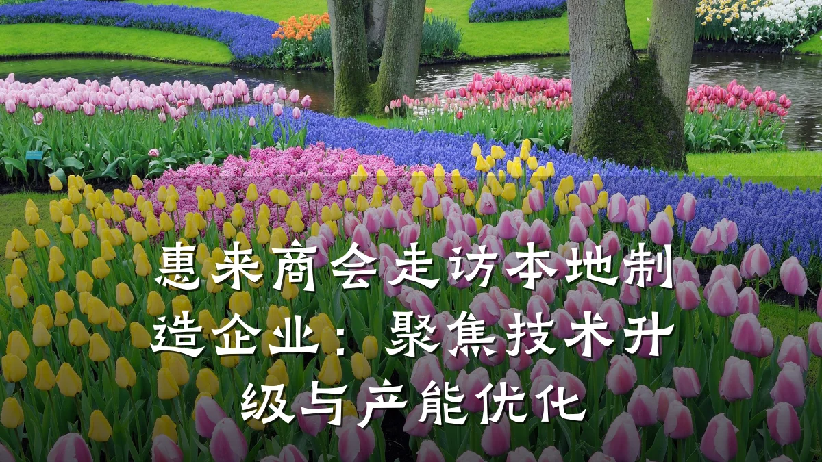 惠来商会走访本地制造企业:聚焦技术升级与产能优化